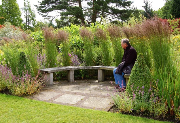 The perfect bench at RHS Harlow Carr.