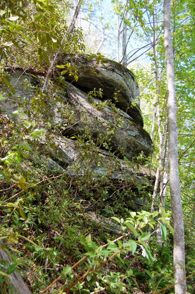One of many limestone outcrops along the trail.