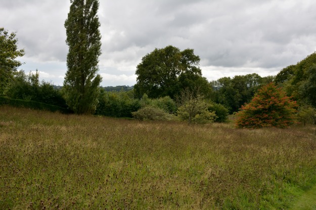 The grass and meadow of the Orchard from the Long Border.